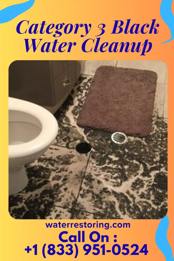 Category 3 Black Water Cleanup in Battle Creek, NE