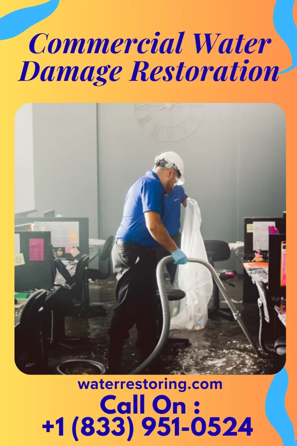 Commercial Water Damage Restoration in Battle Creek, NE